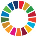 Trade-offs of Sustainable Development Goals (SDG)